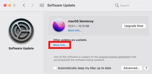 Example of Software Update window on macOS Big Sur.
