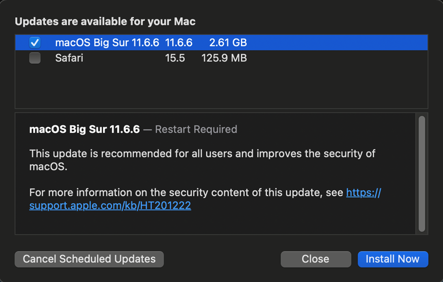 Example of available software update on macOS Big Sur
