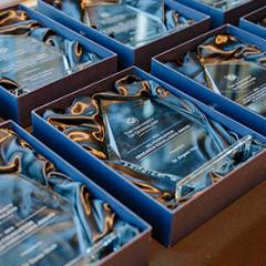 Two rows of glass trophies in open boxes lying on a wooden table