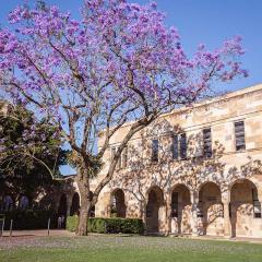 A flowering jacaranda in front of a sandstone building
