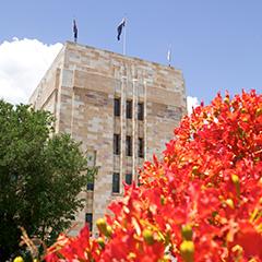 A flowering poinciana tree in front of the Forgan Smith Building, a sandstone building at UQ St Lucia.