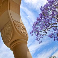 A sandstone cloister and the branches of a jacaranda tree
